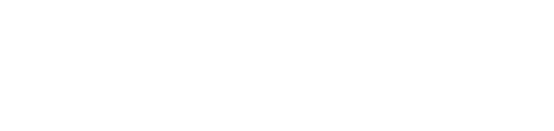 NOMAD TIP